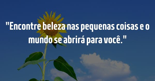 Frases para Inspirar - Guia Completo para Inspirar e Elevar o Espírito - Encontre beleza nas pequenas coisas e o mundo se abrirá para você