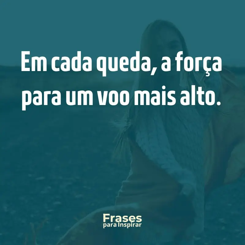Em cada queda, a força para um voo mais alto