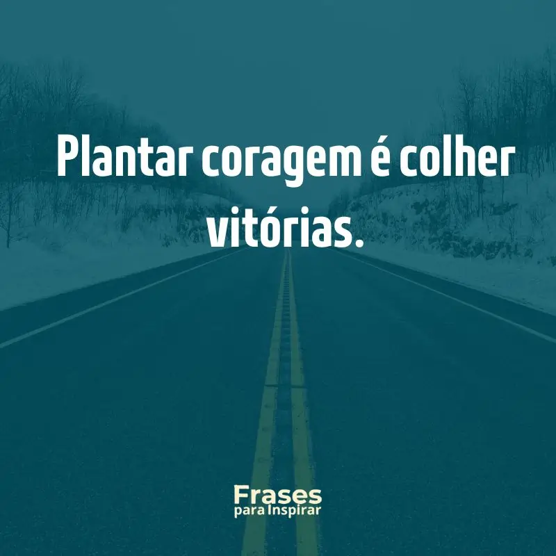 Plantar coragem é colher vitórias